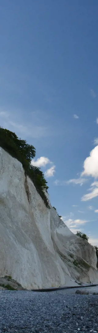 Möns Klint Kreidefelsen